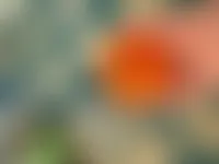 CustomHatsNow.Com