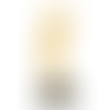 Sparkling Star Trophy