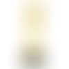 Singing Star Trophy