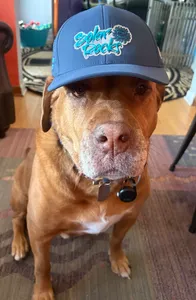 CustomHatsNow.Com - Full Color TPU