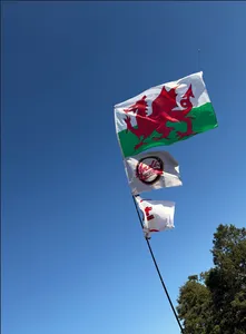 CustomHatsNow.Com - Rectangle Flag