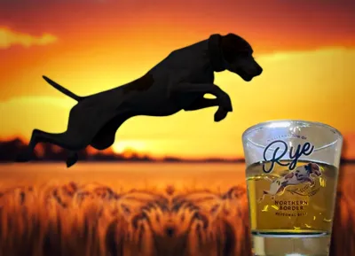 Clear Glass Shot Glass - An event in memory of a very special dog named Rye