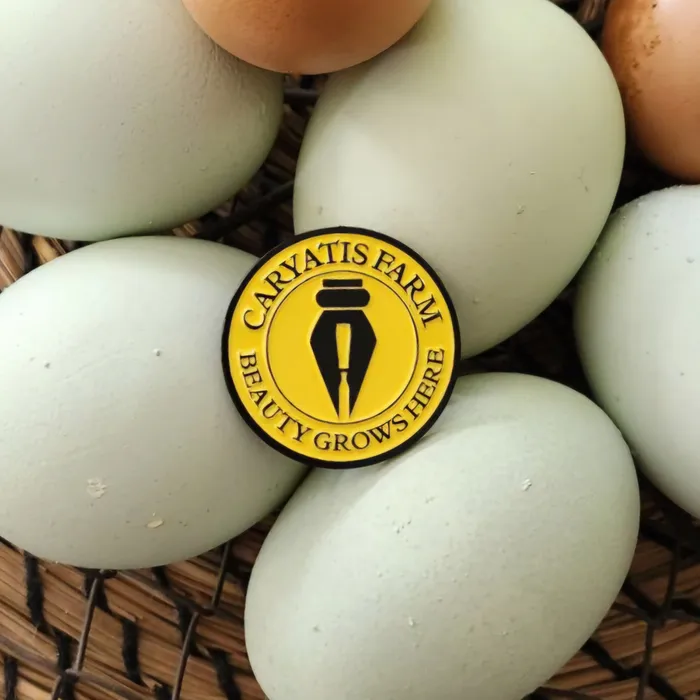 CustomHatsNow.Com - Soft Enamel Pin