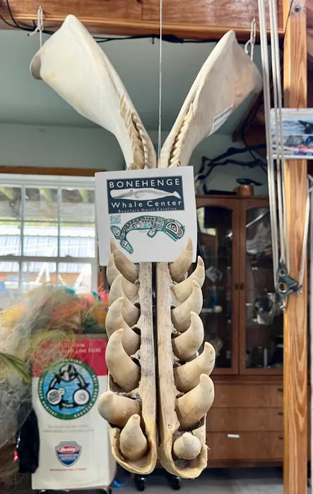 CustomHatsNow.Com - Custom Luncheon Napkin