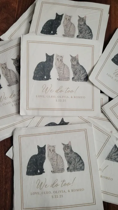 CustomHatsNow.Com - Custom Beverage Napkin