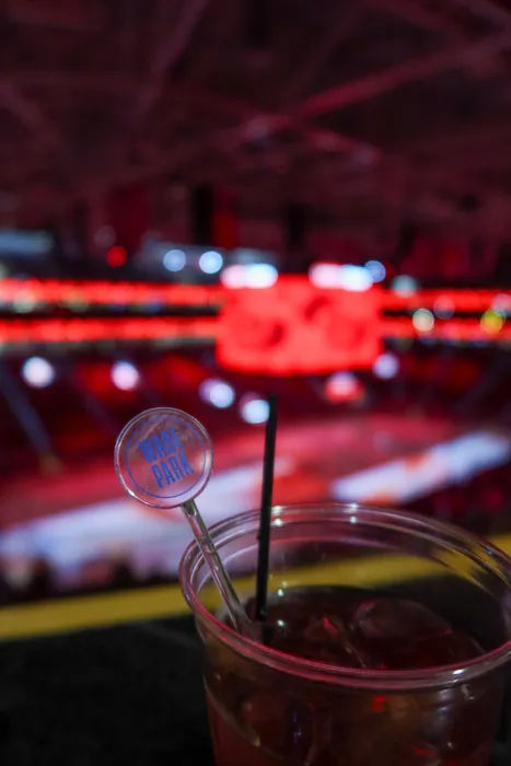 CustomHatsNow.Com - Transparent Stir Sticks