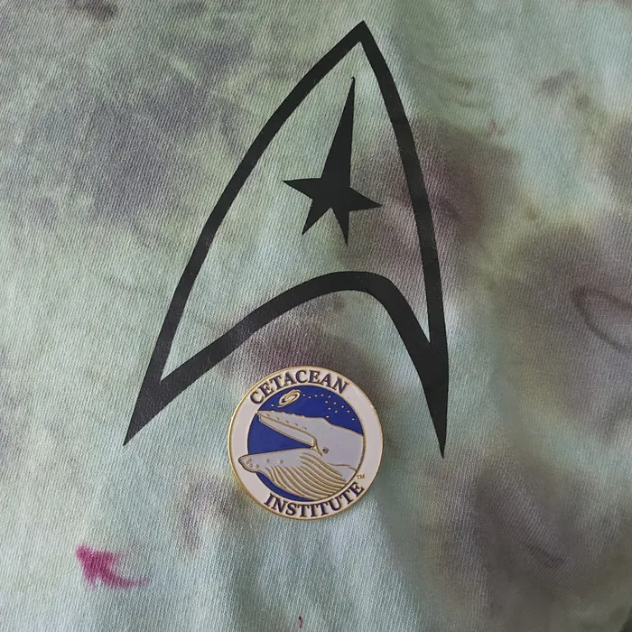 CustomHatsNow.Com - Hard Enamel Pin