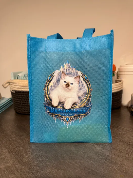 CustomHatsNow.Com - Custom Small Gift Tote Bag