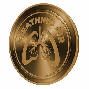 Challenge Coins - Custom Hats Now