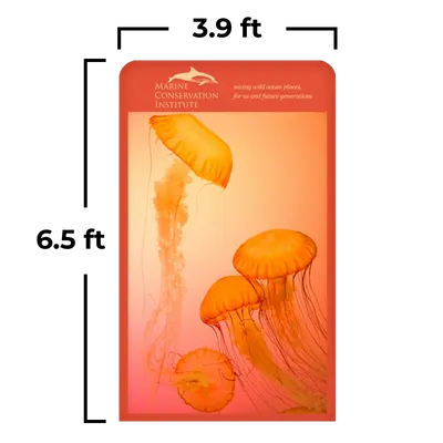 3.9 x 6.5 ft - Custom Hats Now