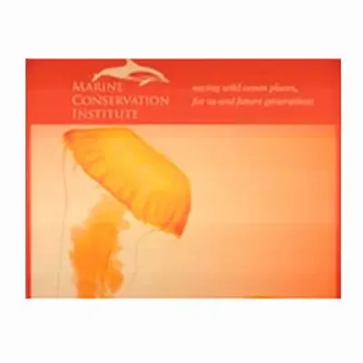 None - Custom Hats Now