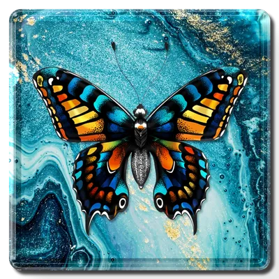 Square - Custom Hats Now