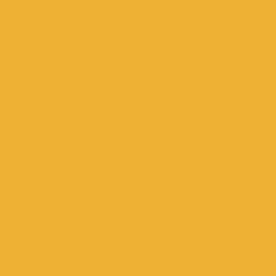 Orange - Custom Hats Now