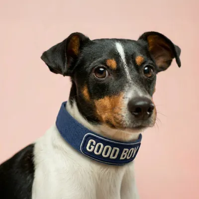 Pet Harness - Custom Hats Now