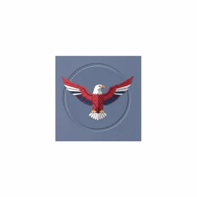 5 in x 5 in - Custom Hats Now