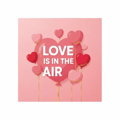 Standard - Custom Hats Now