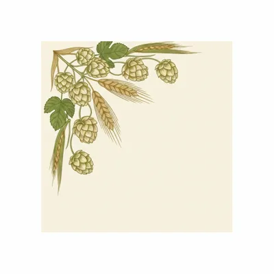 8 in x 8 in - Custom Hats Now