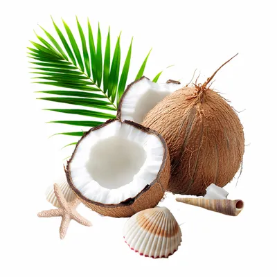 Coconut - Custom Hats Now