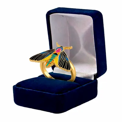 Blue Velvet Box - Custom Hats Now