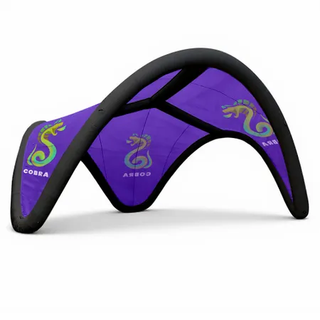 16 ft. x 16 ft. Inflatable Trident Tents 16 ft. x 16 ft. Inflatable Trident Tents - Custom Hats Now