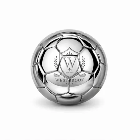 Soccer Ball Stainless Steel Ice Cubes - Custom Hats Now