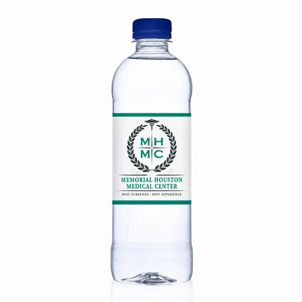 16.9 oz Bullet Bottles – Private Label Water - Custom Hats Now