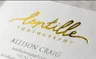 Color Foil Stamped Brochures