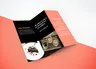 Business Flyers